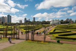 I Green Gardens del giardino botanico di Curitiba, Brasile.

