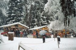 I mercatini di Natale a Levico Terme - foto APT ...