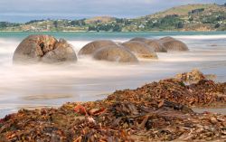 I Moeraki Boulders a nord di Dunedin in Nuova Zelanda. Sono massi grandi e sferici adagiati lungo un tratto di Koekohe Beach fra Moeraki e Hampden. Fanno parte di una riserva scientifica istituita ...