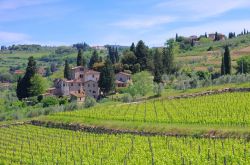 I paesaggi di Panzano in Chianti lungo la strada Chiantigiana