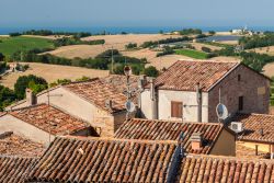 I tetti del borgo di Mondolfo nelle colline marchigiane a nord di Ancona