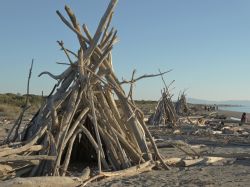 i tronchi della spiaggia di Principina a Mare vengono utilizzati in inverno per degli alloggi di fortuna