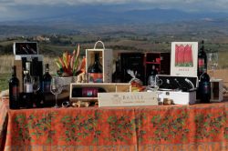 I vini di Montecucco: la produzione della cantina Basile di Cinigiano in Toscana