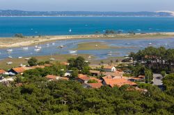 Il bacino d'Arcachon con la bassa marea, Francia, visto dal faro di Cap-Ferrat. Un bel paesaggio di questa zona di acqua salata che si estende per circa 155 km quadrati in cui si praticano ...