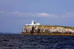 Il bel faro sull'isola di Inner Farne, Inghilterra. E' una torre in mattoni a pianta circolare dipinta di bianco e sormontata dalla lanterna, la struttura in vetro che protegge l'ottica, ...