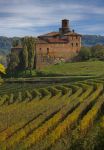 Il castello di La Morra, Cuneo, Piemonte. A fare da cornice a questa antica costruzione signorile sono le coltivazioni di pregiati vigneti da cui si ricavano alcuni dei vini più apprezzati ...