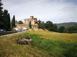 Il castello di Lourmarin