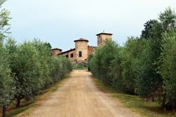 Il castello rinascimentale di Gabbiano a San Casciano in Val di Pesa, Firenze, Toscana. E' circondato da uliveti e vigneti che producono Chianti classico - © Simona Bottone / Shutterstock.com ...