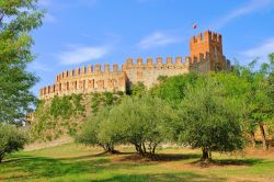 Il Castello Scaligero di Soave in Veneto. Il borgo posto ad oriente di Verona è anche famoso per il suo vino bianco, che prende il nome dalla località