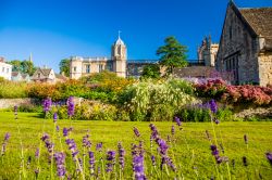 Il Christ Church War Memorial Garden di Oxford, Inghilterra (UK), in estate con piante e fiori dai mille colori.
