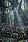 Il cimitero Okunoin sul monte Koya a Osaka, Giappone.
