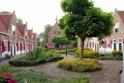 Il cortile di vecchie case a Naaldwijk, Olanda. Queste graziose casette si affacciano su un cortile piantumato con alberi e aiuole.
