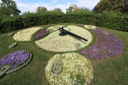 Il famoso orologio di fiori a Ginevra, Svizzera. E' formato da 6500 fiori questo gigantesco orologio, il più fotografato di tutta la città. Si trova nel giardino inglese, delizioso ...