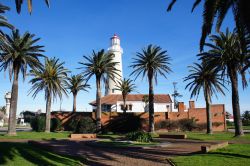 Il faro bianco di Punta del Este, Uruguay, circondato da palme.



