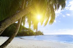 Il fascino della cosiddetta Anse Soleil (Baie Lazare) sull'isola di Mahé presso le Seychelles - © Chaikovskiy Igor / Shutterstock.com