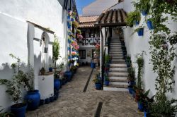 Il Festival dei cortili ti farà scoprire il carattere esuberante di Cordova, in cui il ritmo flamenco e il profumo di gelsomino e dei fiori d'arancio fanno da cornice. - © Andrey ...