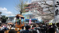 il festival della fertilità, ovvero il Kanamara Matsuri in Giappone - © Stealth3327, CC0, Wikipedia