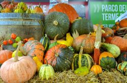 Il Festival della Zucca a Levico Terme in Trentino - © lorenza62 / Shutterstock.com