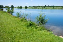 Il fiume Nene nella città di Peterborough, Cambridgeshire, Regno Unito.
