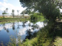 Il Fiume Sarno alla periferia di Striano - ©  GFDL - Wikipedia