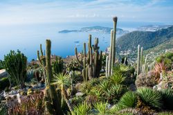 Il giardino Botanico e il panorama della costa su Eze-sur-Mer in Costa Azzurra.