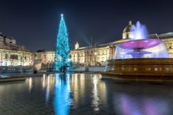 Il grande albero di Natale a Trafalgar Square in centro a Londra