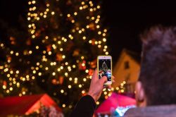 Il grande albero di Natale ai mercatini di Santa Maria Maggiore