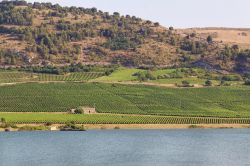 Il lago Arancio, con le sponde ricche di vigneti, nei pressi di Sambuca di Sicilia