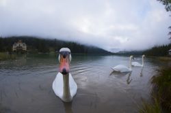 Il lago di Dobbiaco paradiso per famiglie con bambini