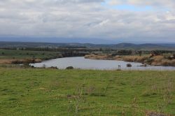 Il Lago di Ollastra  nella piana del Campidano vicino a Zerfaliu in Sardegna - © Gianni Careddu - CC BY-SA 3.0, Wikipedia