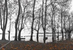 Il lago di Varese nella stagione autunnale visto da Gavirate, Lombardia © 231618073 / Shutterstock.com