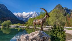 Il lago Jasna con i riflessi delle montagne a Kranjska Gora, Slovenia. E' formato da due laghi artificiali collegati fra di loro che si trovano alla confluenza dei torrenti Velika e Mala ...