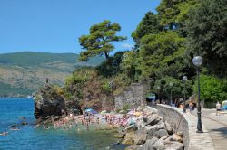 Il lungomare di Castelnuovo (Herceg Novi) nel Montenegro - © ollirg / Shutterstock.com