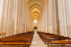 Il maestoso interno del monastero di Alcobaca, Portogallo. Questo antico edificio cattolico di epoca medievale, dichiarato sito Unesco, ospita le sepolture di re Pietro I° e di Ines de Castro ...