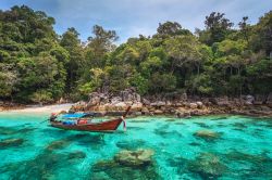 Il mare cristallino di Ko Lipe, una delle isole più belle della Thailandia - © Noppasin / Shutterstock.com