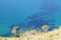 Il mare limpido di San Mauro Cilento sul Tirreno, una delle Bandiere Blu della Campania - © www.sanmaurocilento.gov.it