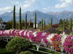 Il Merano Flower Festival si svolge in primavera, in varie location della città dell'Alto Adige