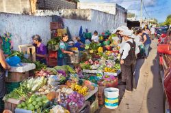 Il mercato di frutta e verdura nel centro cittadino di Chetumal, Messico - © Aleksandar Todorovic / Shutterstock.com