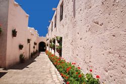 Il monastero di Santa Catalina a Arequipa, Perù. Gerani fioriti abbelliscono le semplici facciate in intonaco del convento.



