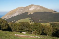 Il Monte Catria è il piu elevato nella zona di Cantiano (Marche)