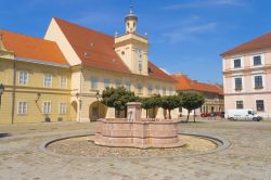 Il Museo Archeologico di Osijek, Croazia. Qui si possono ammirare esposizioni di archeologia, mineralogia e numismatica ma anche collezioni di costumi, gioielli e altri oggetti che raccontano ...