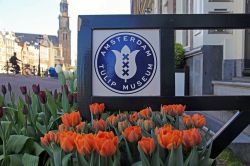 Amsterdam Tulip Museum, uno dei musei della capitale olandese - © InnaFelker / Shutterstock.com
