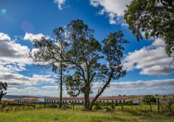 Il Nelson Mandela Museum a Qunu in Sudafrica. in questo villaggio si trova la tomba del Premio Nobel per la pace