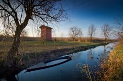 Il Padule di Fucecchio in Toscana