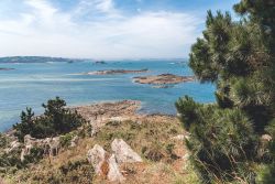 Il paesaggio brullo dell'isola di Sterec nella baia di Morlaix, Finistere, Francia.

