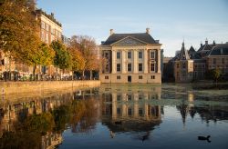 Il Palazzo di Maurizio e le storiche dimore del parlamento a L'Aia, Olanda, lungo l'Hofvijver. Questo stagno del centro cittadino ospita una piccola isoletta con piante e alberi.
