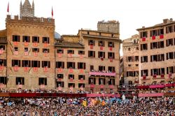 Il Palio della Madonna di Provenzano, a Siena: la piazza del Campo gremita per il 2 luglio - © Walkabout Photo Guides / Shutterstock.com