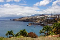 Il Palmetum di Santa Cruz de Tenerife, Isole Canarie - © Mike Peel / wikipedia