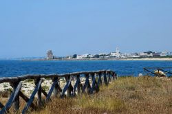 Il panorama che si gode da Punta Prosciutto in direzione Torre Colimena 