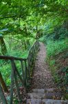 Il parco rigoglioso del Castello di Gropparello, in provincia di Piacenza - © Mi.Ti. / Shutterstock.com